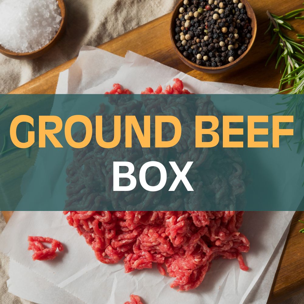Grass-Fed & Grass-Finished Ground Beef – 85/15
