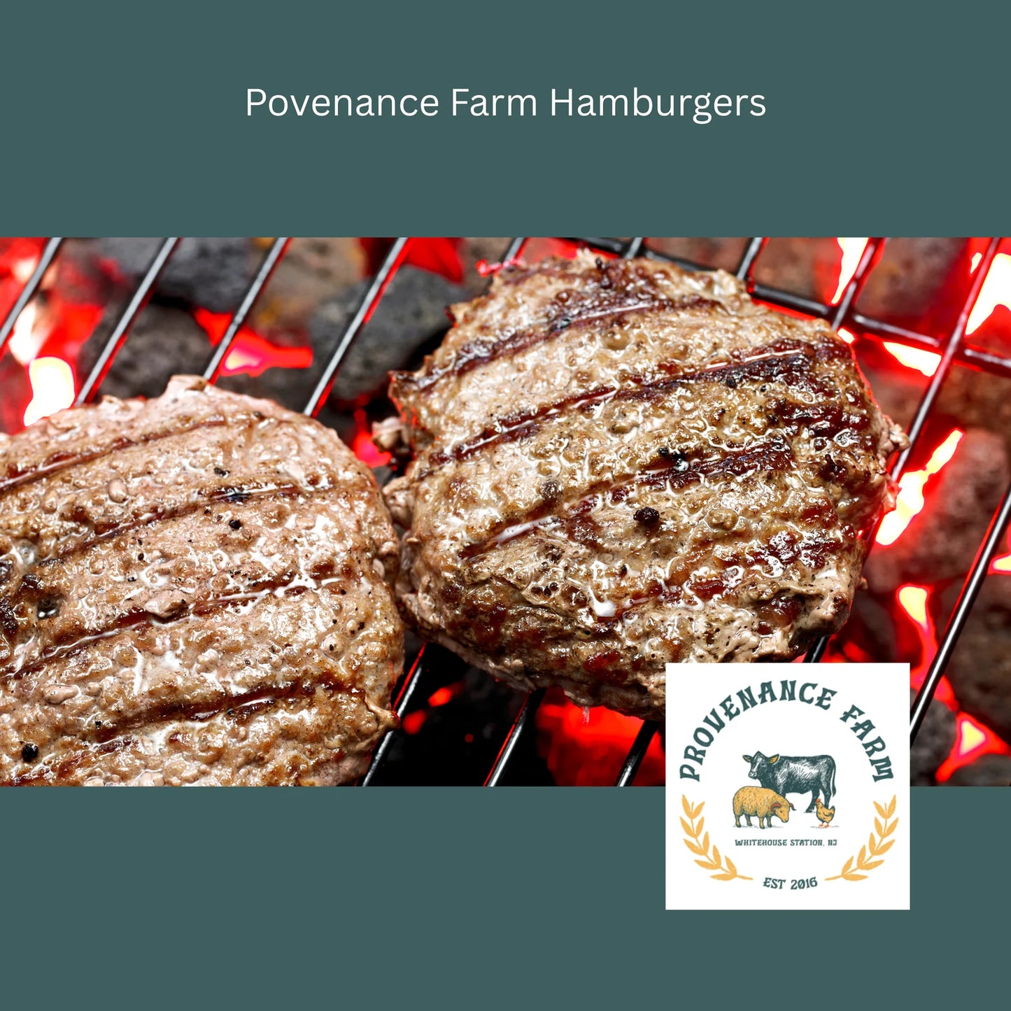 Grass-Fed Ground Beef 90/10 | Regenerative & Grass-Finished