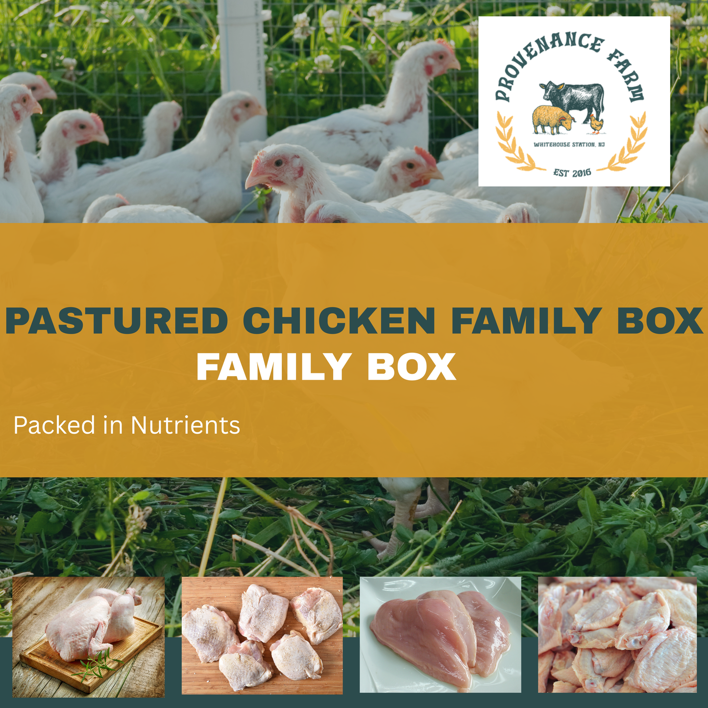Regenerative Pasture-Raised Chicken Sampler | Whole Birds + Premium Cuts (13–14 lbs)