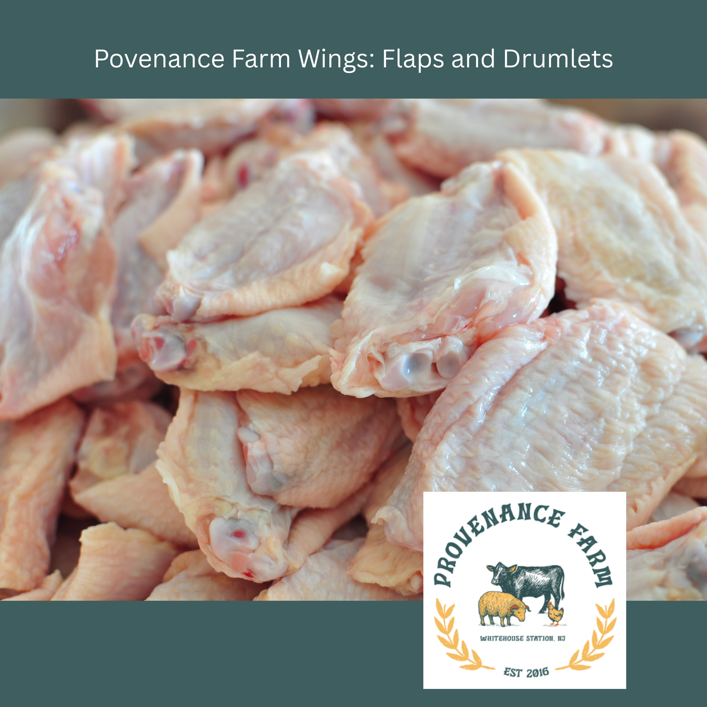 Regenerative Pasture-Raised Chicken Sampler | Whole Birds + Premium Cuts (13–14 lbs)